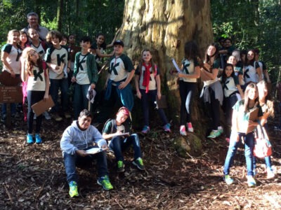 atividade floresta estadual 6 anos 75 w1200