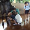 areia que canta brotas 47