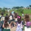 Unesp 17