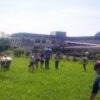 Unesp 28