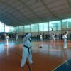 taekwondo 28