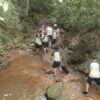 ECOLOGIC PARK 61 2800