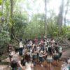 ECOLOGIC PARK 62 2800