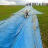 ECOLOGIC PARK 70 2800