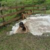 ECOLOGIC PARK 87 2800
