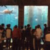 excursão aquário sp 39 2800