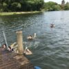 reo lago re 20