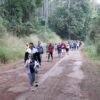 caminhanamatanafloresta 16jun 28