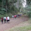 caminhanamatanafloresta 16jun 4