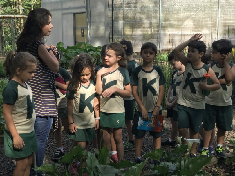 Unesp 4 e1544521135969