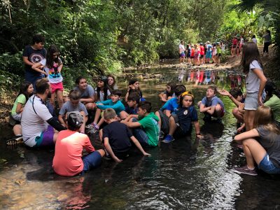 Colegio Koelle carrocao 207