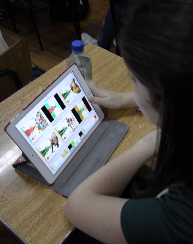 Apple Distinguished School